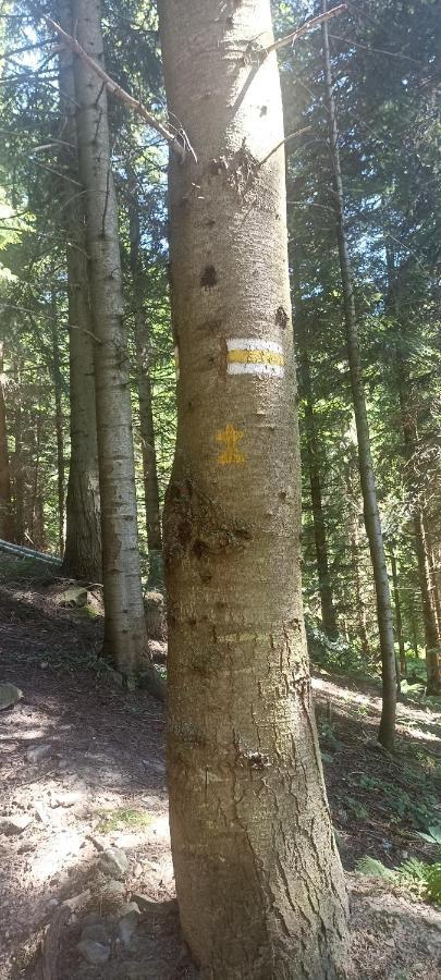 Gosciniec Dziubasowki Villa Nowy Targ Luaran gambar