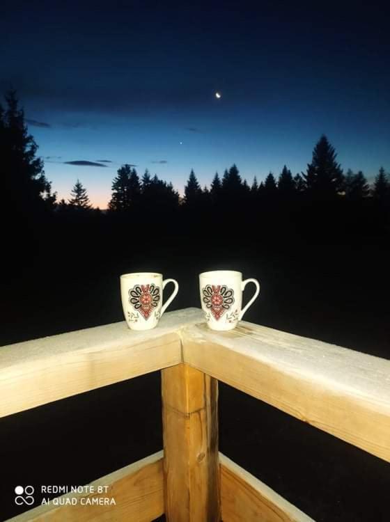 Gosciniec Dziubasowki Villa Nowy Targ Luaran gambar