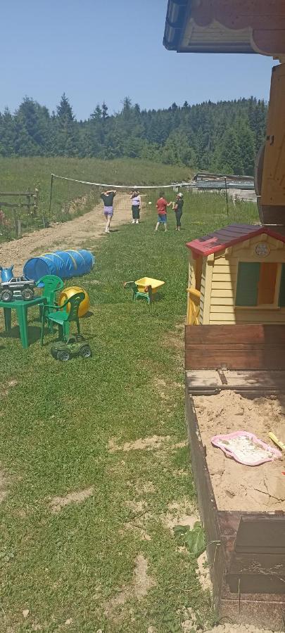 Gosciniec Dziubasowki Villa Nowy Targ Luaran gambar
