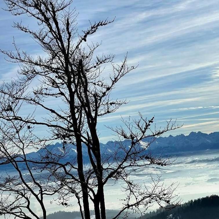 Gosciniec Dziubasowki Villa Nowy Targ Luaran gambar