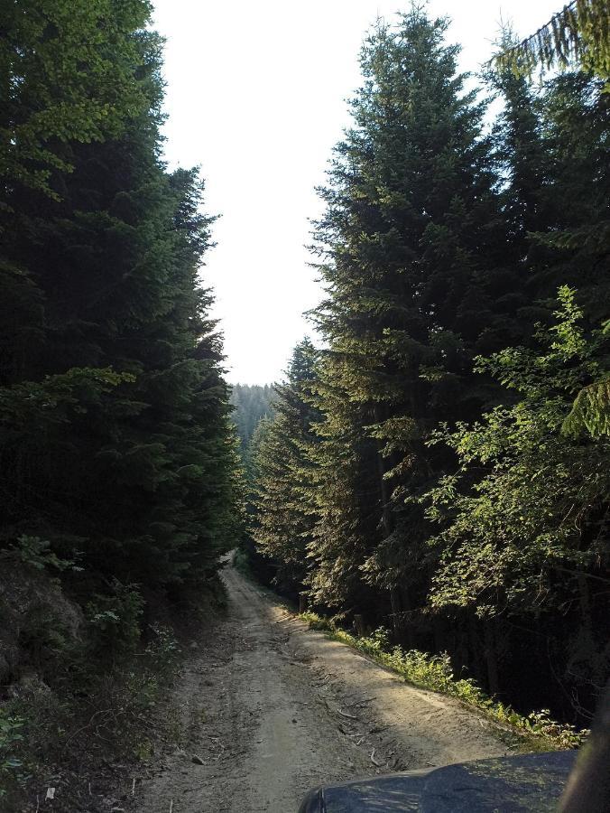 Gosciniec Dziubasowki Villa Nowy Targ Luaran gambar