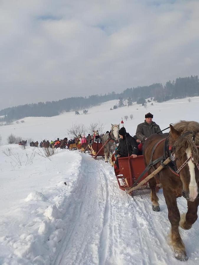 Gosciniec Dziubasowki Villa Nowy Targ Luaran gambar