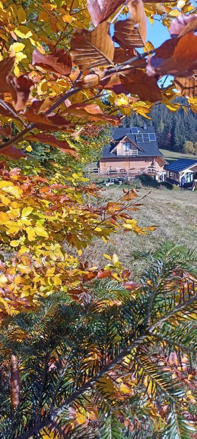 Gosciniec Dziubasowki Villa Nowy Targ Luaran gambar