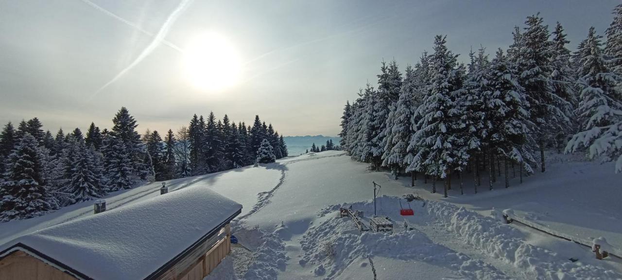 Gosciniec Dziubasowki Villa Nowy Targ Luaran gambar