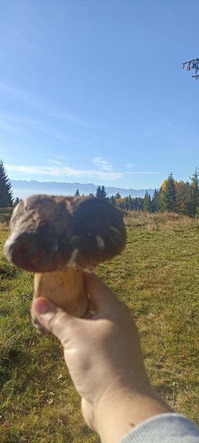 Gosciniec Dziubasowki Villa Nowy Targ Luaran gambar