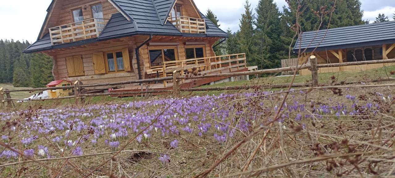 Gosciniec Dziubasowki Villa Nowy Targ Luaran gambar
