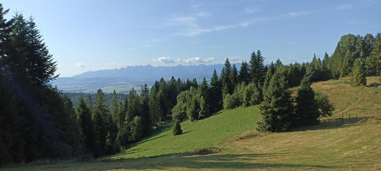 Gosciniec Dziubasowki Villa Nowy Targ Luaran gambar
